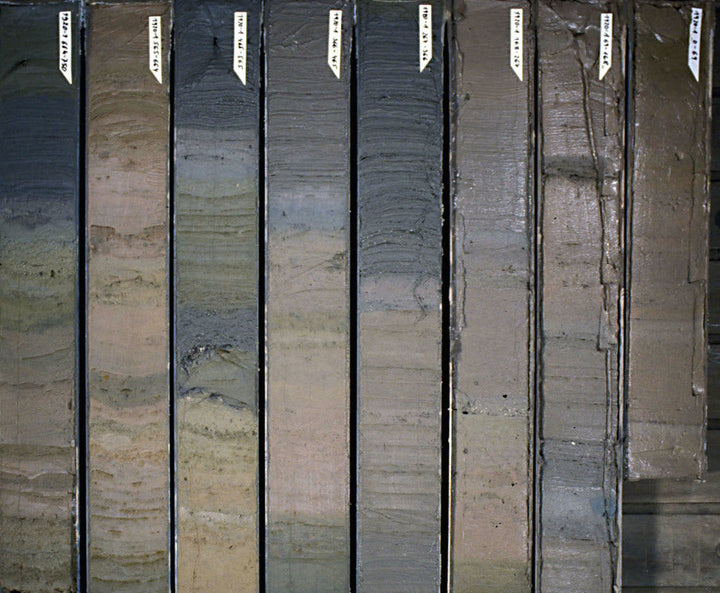Marine Sediments